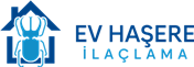 Beylikdüzü Böcek İlaçlama ® | ☎️ 0553 167 3799